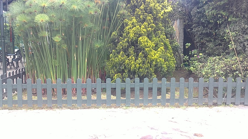 jardinería y paisajismo diseño de jardines jardinería macetas jardinería en casa jardinería practicas utilísimas jardinería básica jardinería paisajismo jardinería práctica siembra de jardin 03 jardinería y paisajismo diseño de jardines jardinería macetas jardinería en casa jardinería practicas utilísimas jardinería básica jardinería paisajismo jardinería práctica siembra de jardin 03